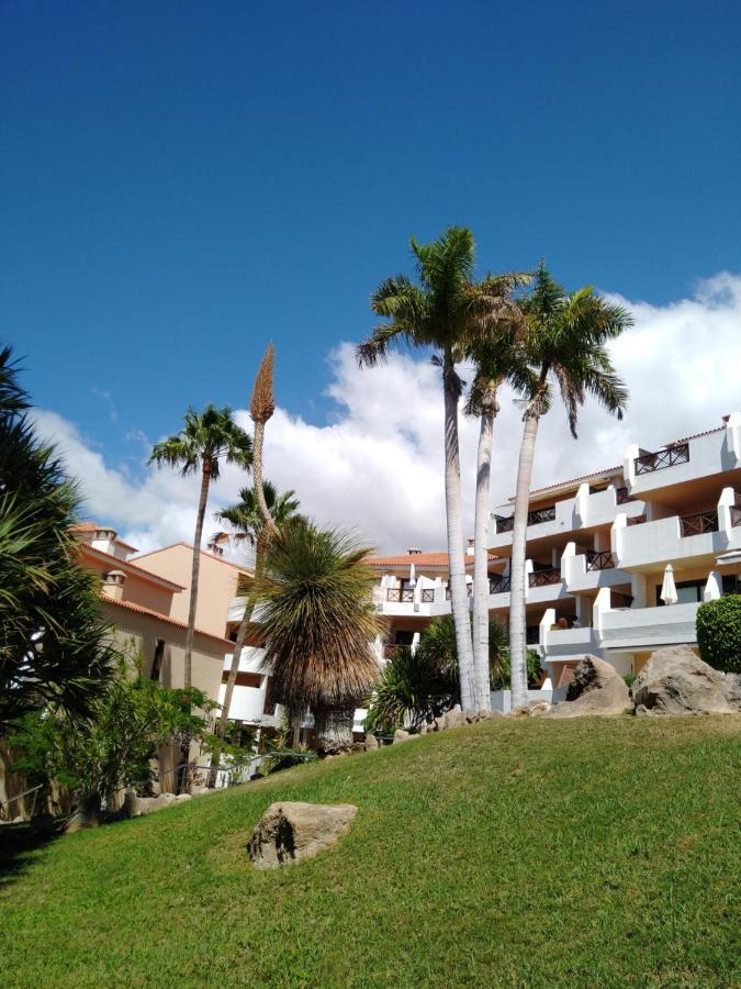 Forest Flat - Big Heated Pool, Terrace, Tv Channels, Golf Courses San Miguel de Abona Kültér fotó