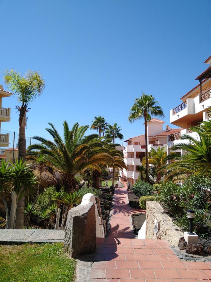 Forest Flat - Big Heated Pool, Terrace, Tv Channels, Golf Courses San Miguel de Abona Kültér fotó